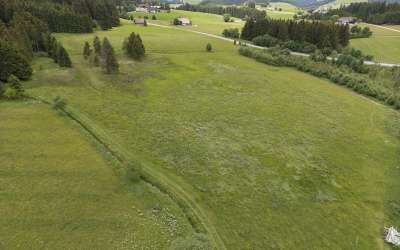 Attraktives Landgasthaus mit Gästezimmer – Eine besondere Immobilie mit vielseitigem Potenzial