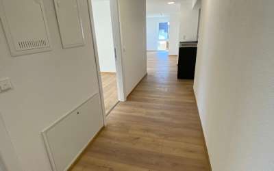 Charmantes Penthouse mit Weitblick über die Dächer der Stadt