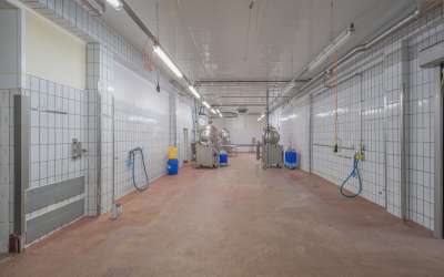 Hier ist Platz für Lebensmittelproduktion und Logistik