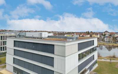 Großraumbüro in einer halben Etage - hier wird pefektes Arbeiten von makanter Architektur und Tageslicht unterstützt