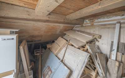 Rustico im Hegau, sucht klugen Handwerker: Bauernhaus zum Kernsanieren und sich Verwirklichen