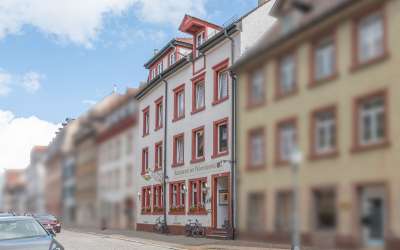 Schönes Wohn-/ und Geschäftshaus mit Umnutzungsmöglichkeiten