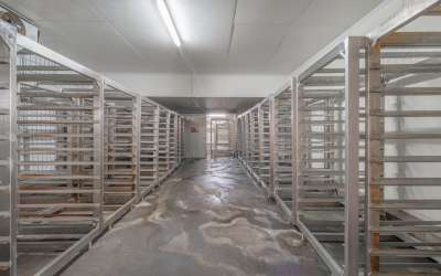 Hier ist Platz für Lebensmittelproduktion und Logistik