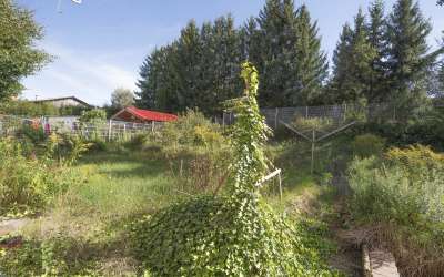 1-2-Familienhaus in toller Lage und schönem Grundstück