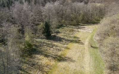 Wer hier einkehren darf, erlebt eine besondere Atmosphäre, die lange in Erinnerung bleibt - Hotel mitten im Grünen