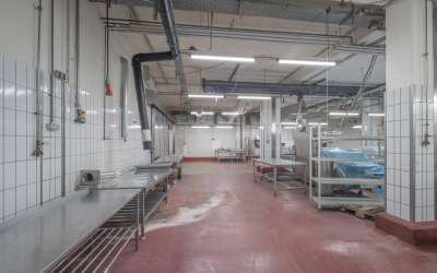 Hier ist Platz für Lebensmittelproduktion und Logistik