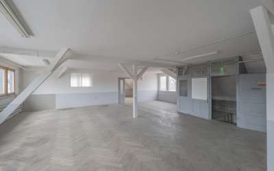 Sonniges Gewerbeareal - hier ist Platz für Ihr Unternehmen, mit vielen Gestaltungsmöglichkeiten