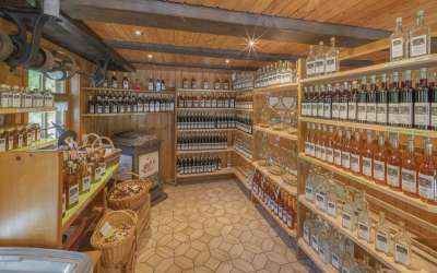 Es steht eine Mühle im Schwarzwälder Tal - romantisches Bauernhaus in markanter, versteckter Seitentallage mit viel Sonne