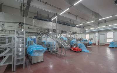 Hier ist Platz für Lebensmittelproduktion und Logistik