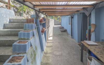 Sonnig und idyllisch: das freistehende Haus am Stadtrand, mit kurzen Wegen in die Stadt