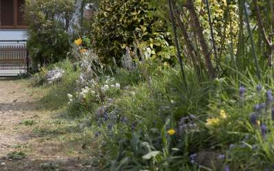 Doppelhaushälfte neu renoviert!