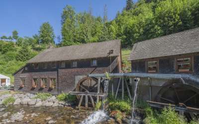 Es steht eine Mühle im Schwarzwälder Tal - romantisches Bauernhaus in markanter, versteckter Seitentallage mit viel Sonne