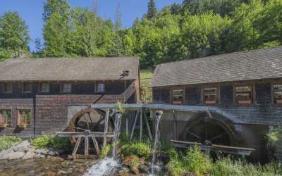 Es steht eine Mühle im Schwarzwälder Tal - romantisches Bauernhaus in markanter, versteckter Seitentallage mit viel Sonne