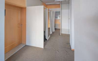 Flotte 3 Zimmer Mietwohnung in Innenstadtnähe, mit viel Licht und Sonnenschein