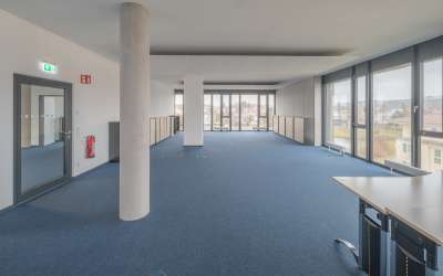 Großraumbüro in einer halben Etage - hier wird pefektes Arbeiten von makanter Architektur und Tageslicht unterstützt