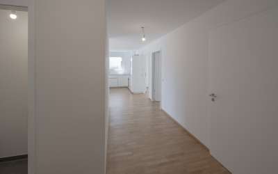 Hier geht die Sonne auf: außergewöhnliche 4 Zimmer-Wohnung im Erdgeschoß