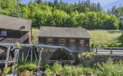 Es steht eine Mühle im Schwarzwälder Tal - romantisches Bauernhaus in markanter, versteckter Seitentallage mit viel Sonne