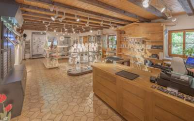 Es steht eine Mühle im Schwarzwälder Tal - romantisches Bauernhaus in markanter, versteckter Seitentallage mit viel Sonne