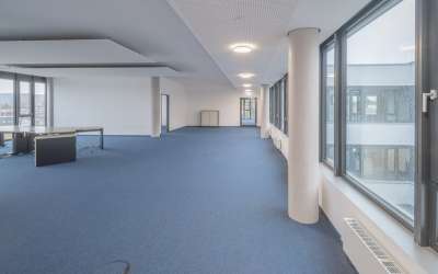 Wo Arbeiten Spaß macht und die Produktivität zu Hause ist