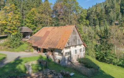Idylle im Schwarzwald für gute Handwerker