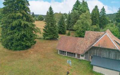 Sonniges Haus für die ganze Familie - enorm großes Grundstück - hier fängt Wohnen richtig an!