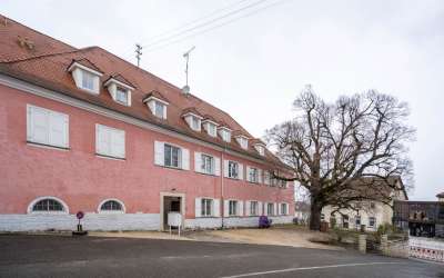 Residieren im ehemaligen Schloss von Mühlhausen Ehingen - Wohn-/ und Geschäftshaus in bester Lage