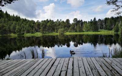 Wunderschönes Landhaus in Alleinlage von Schönwald