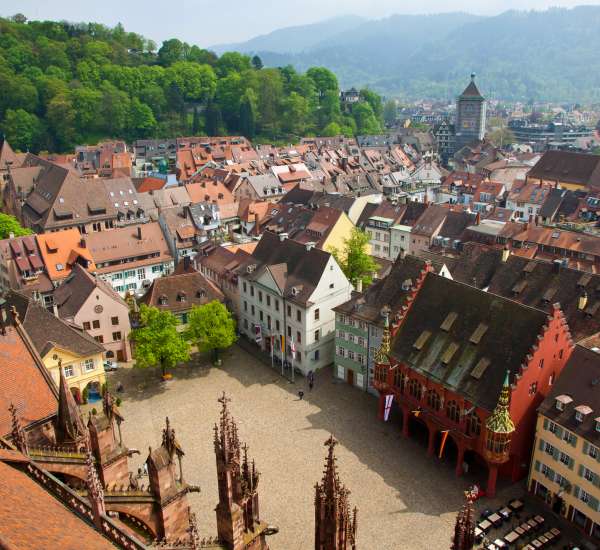 Baum Immobilien am Freiburger Immobilienmarkt